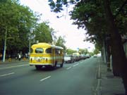 Autobuz